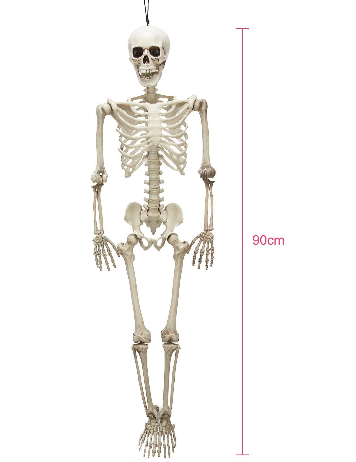 Schelet articulat de 90 cm Halloween