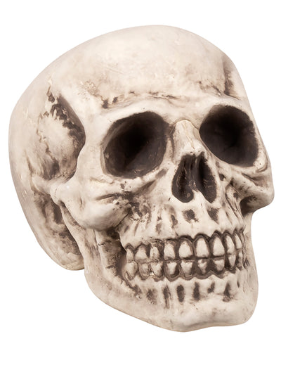 Tête de mort d'Halloween pour décoration beige aspect vieilli