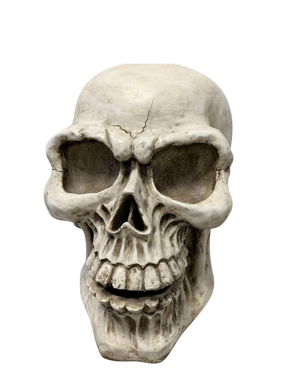 Vue de face de la tête de mort Halloween pour décoration