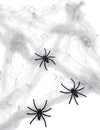 Pânză de păianjen albă cu păianjeni 20 g Halloween